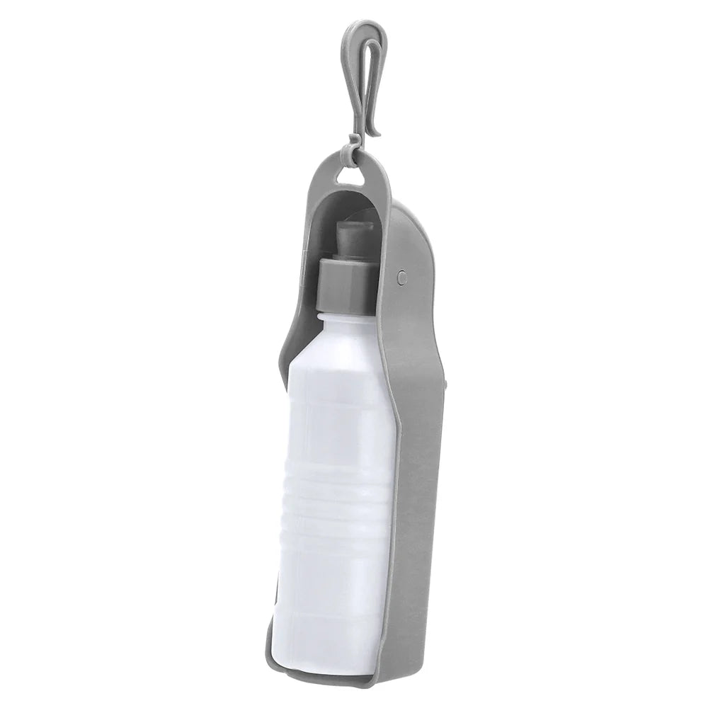 Botella para Paseos