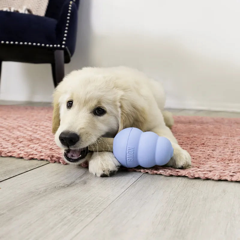 KONG Ziggies Enhanced Puppy