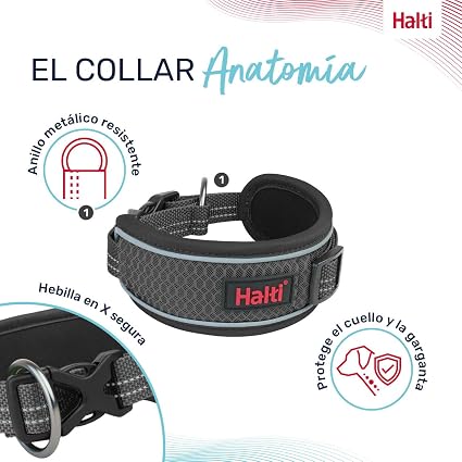 Collar Halti Anatomía Color Gris