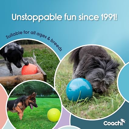 Boomi Ball Pelota Resistente para Perros