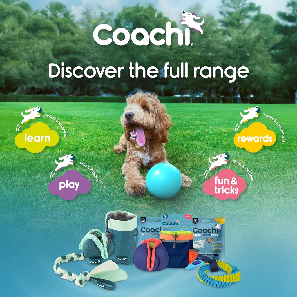 Boomi Ball Pelota Resistente para Perros
