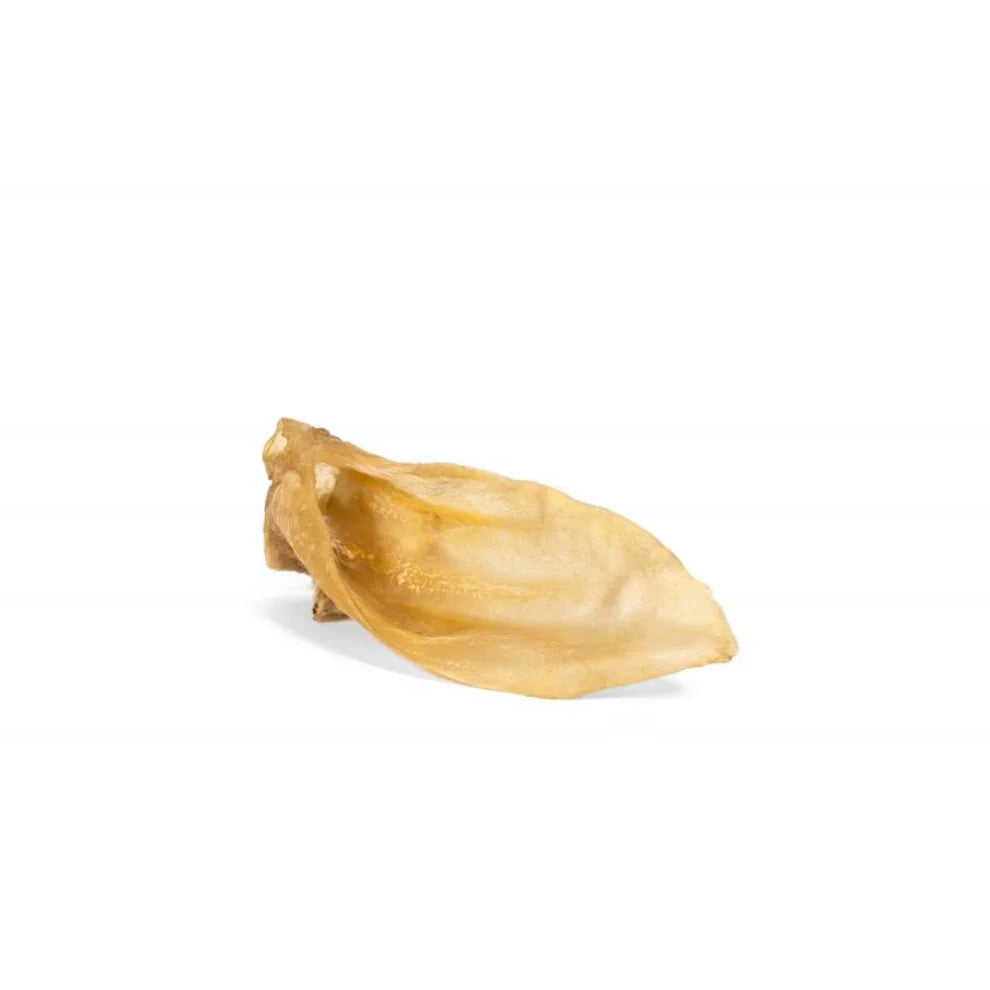 Oreja de Cerdo