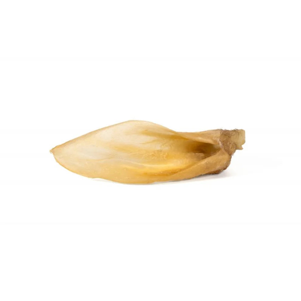 Oreja de Cerdo
