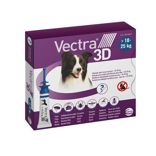 Vetra 3D