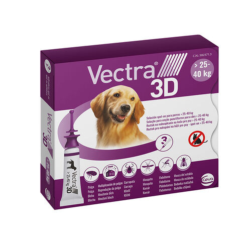 Vetra 3D