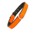 Collar Piel Acolchado Naranja