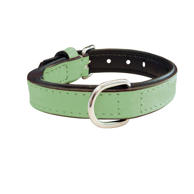 Collar Piel Acolchado Verde