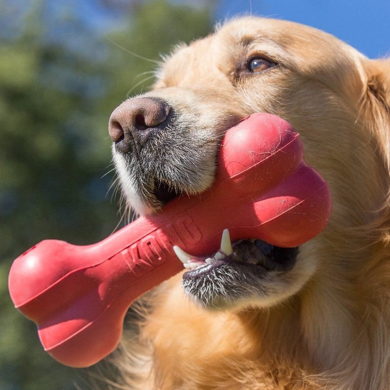 Kong Hueso Dispensador