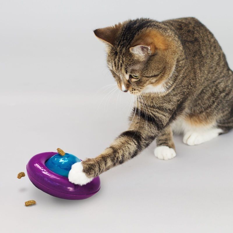 Dispensador de Alimento para Gatos