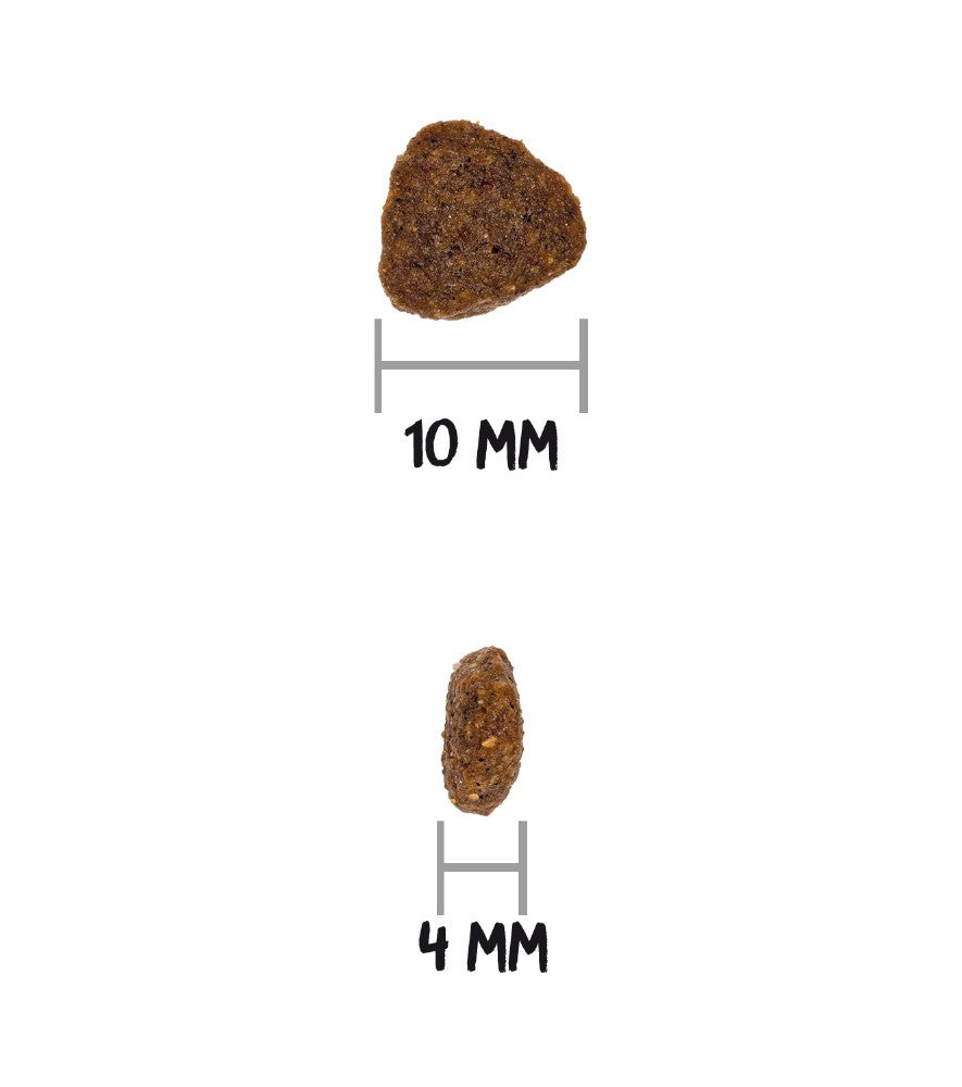 Grain Free Cachorros (Gato)