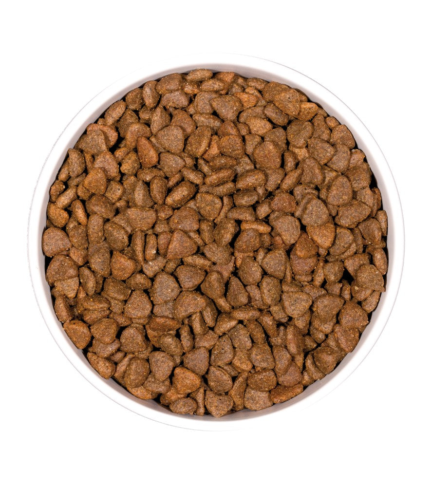 Grain Free Cachorros (Gato)
