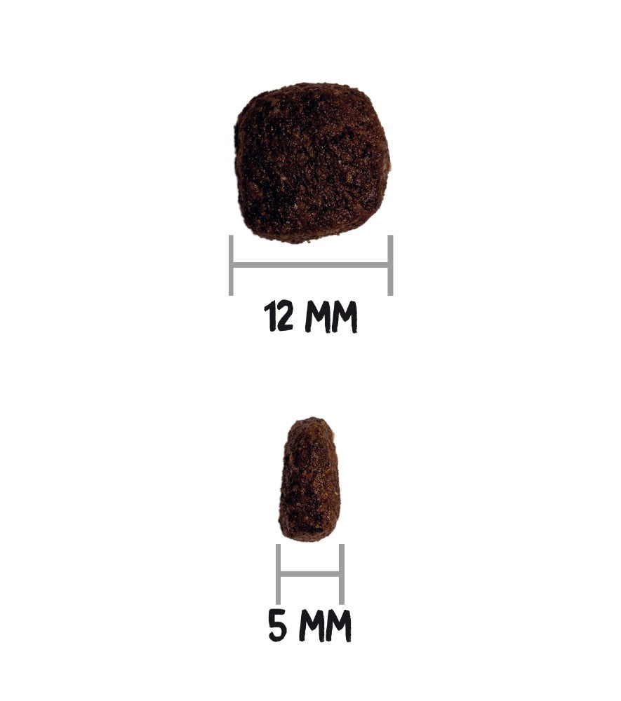 OWNAT ULTRA MEDIUM LAMB