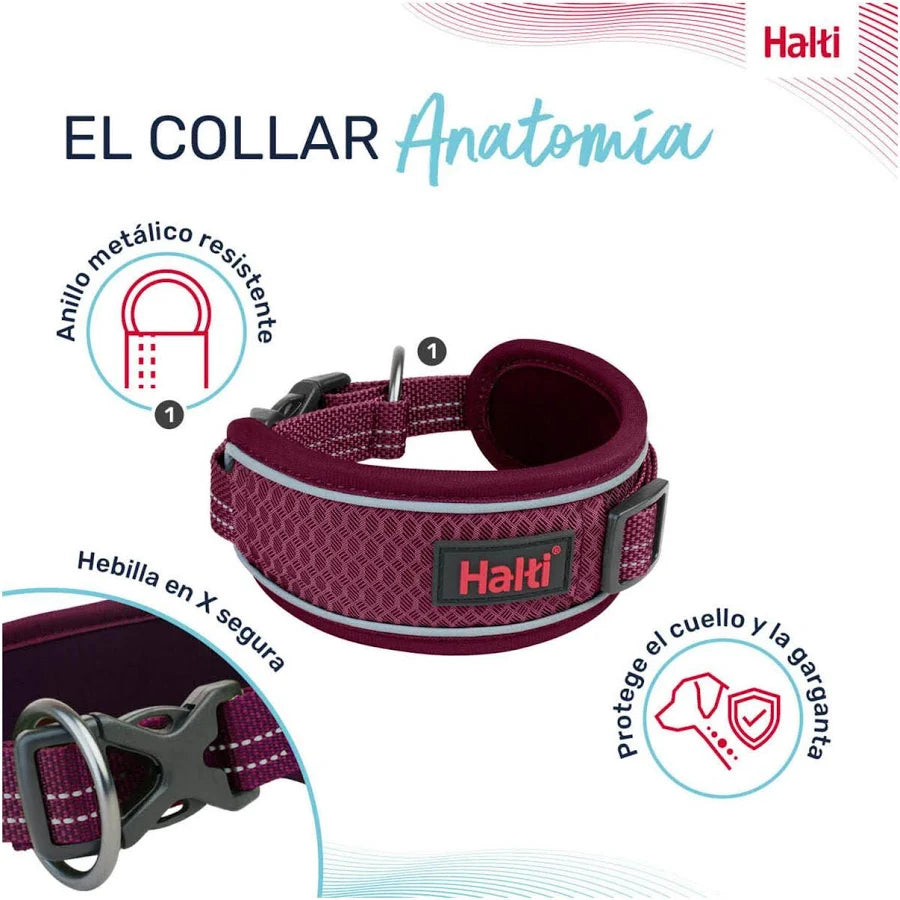 Collar Halti Anatomía Color Burdeos