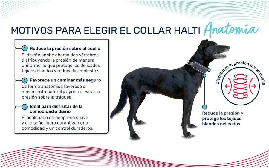 Collar Halti Anatomía Color Burdeos