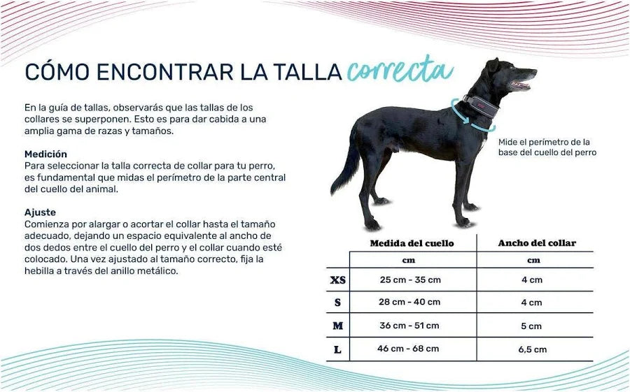 Collar Halti Anatomía Color Burdeos