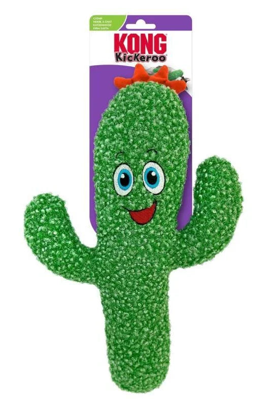 Cactus para Un Juego Estimulante En Gatos