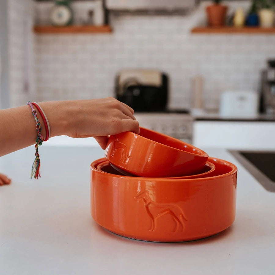 Comedero de Ceramica Osby Naranja para Perro