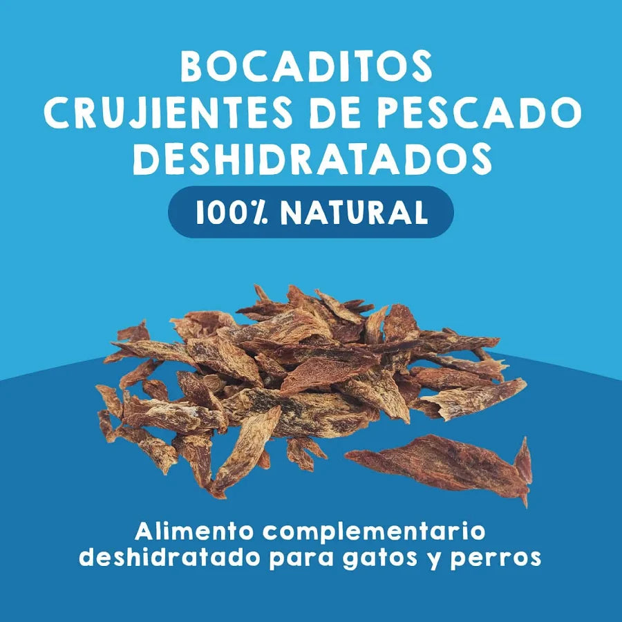 Bocaditos Crujientes de Melva