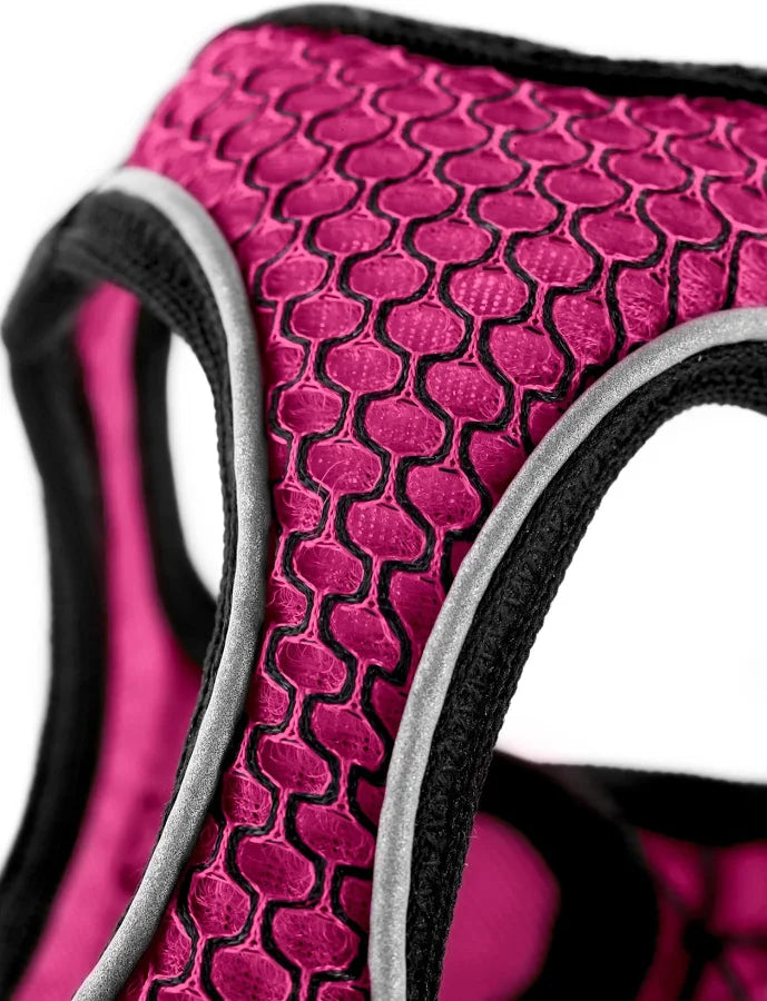 Arnes Hunter Fucsia