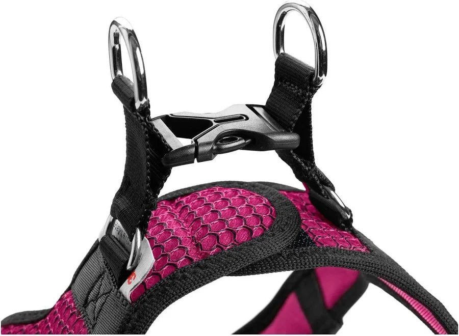 Arnes Hunter Fucsia