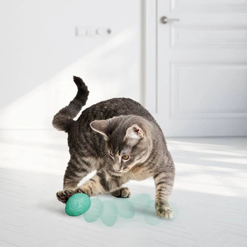 Juguete para Gato con Forma de Huevo con Catnip