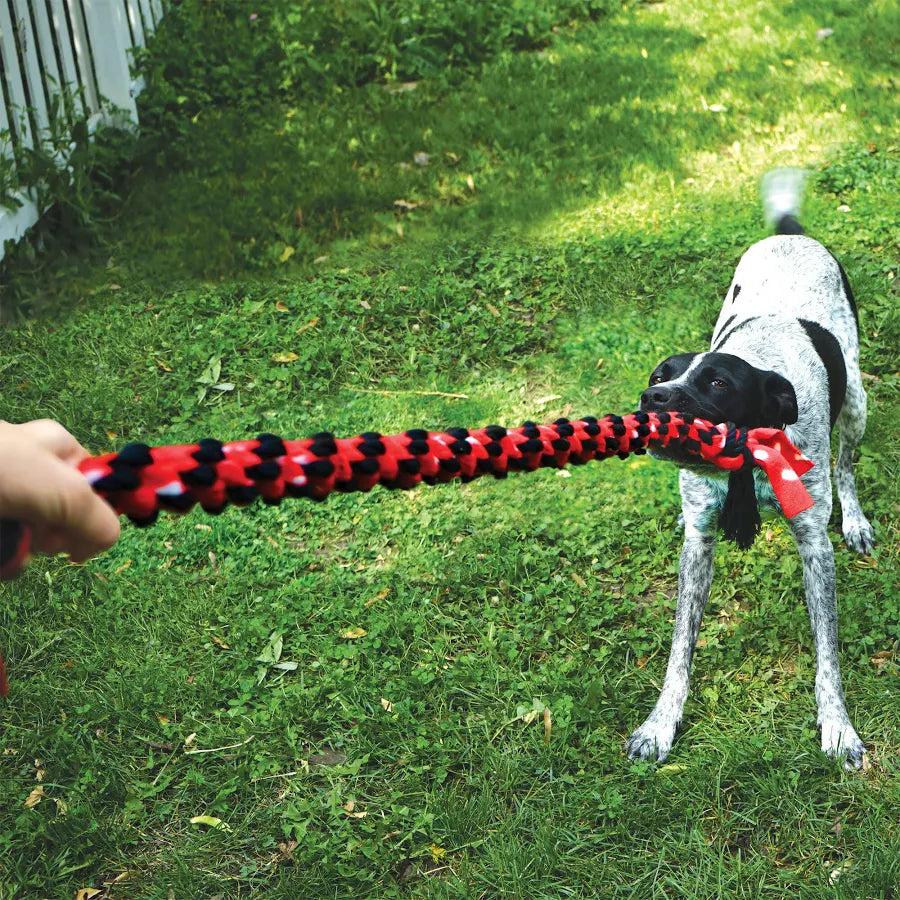 Cuerda con Doble Nudo para Perro