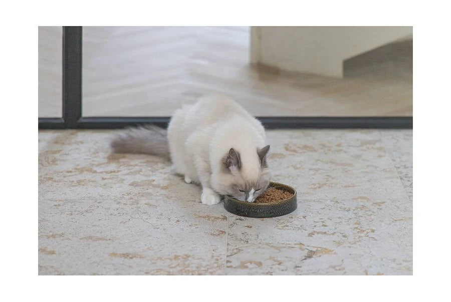 Comedero de Ceramica para Gato