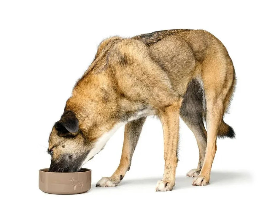 Comedero de Cerámica Osby Gazed Beige para perro