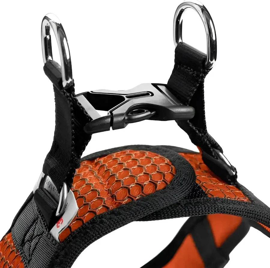 Hunter Arnes Hilo Confort Naranja Talla S