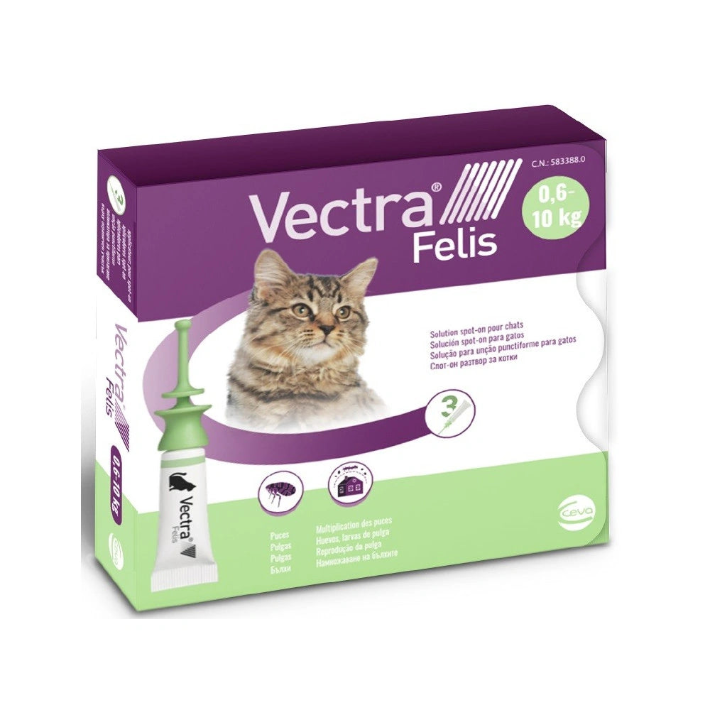 Vectra Felis
