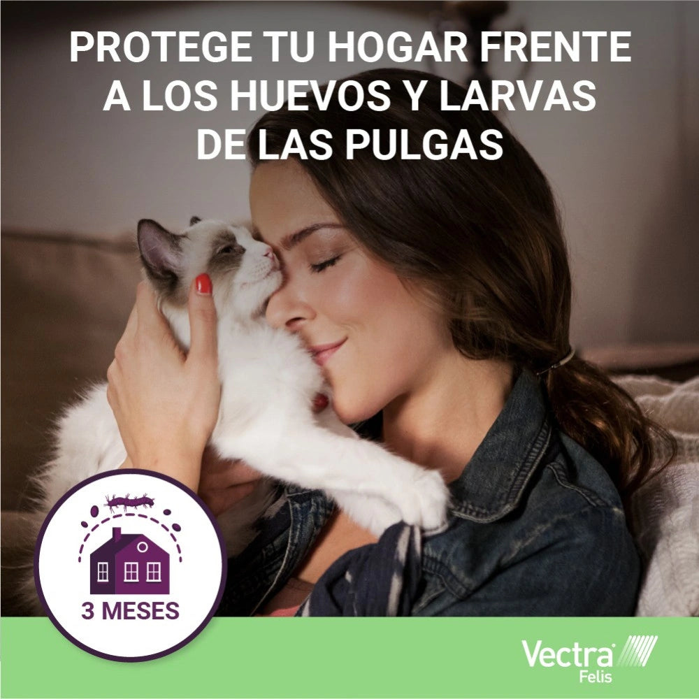 Vectra Felis