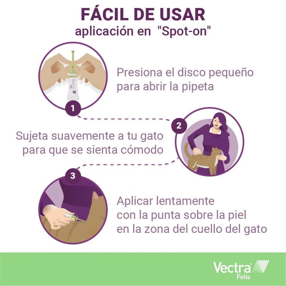 Vectra Felis