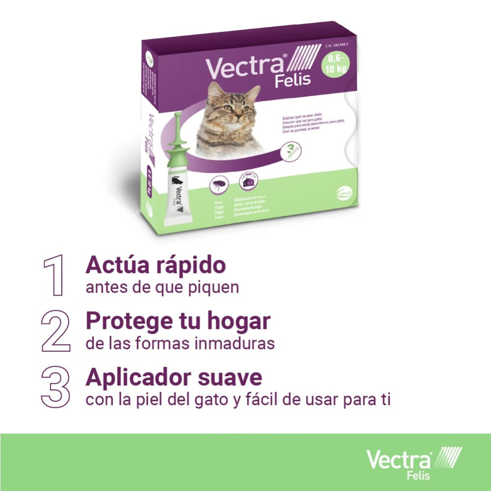 Vectra Felis