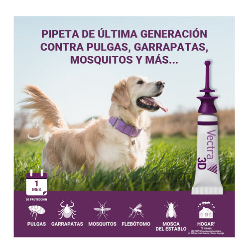 Vetra 3D